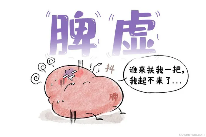 湿气重千万别乱祛！先分清脾虚肾虚再用药