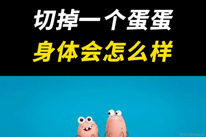 揭秘：切除一个睾丸，生育会面临怎样的挑战？