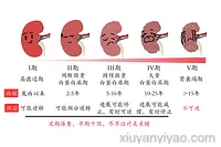 深度揭秘：糖尿病肾病5期究竟有多严重？