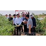 李利在宁夏调研中药监管和质量提升工作
