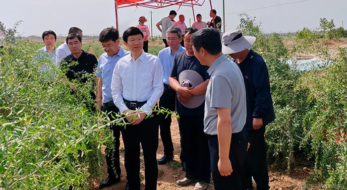 李利在宁夏调研中药监管和质量提升工作