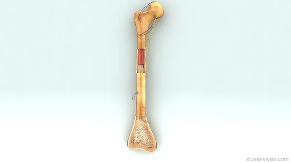 惊!身体骨头老是响,这背后隐藏着什么秘密?