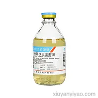 参芪扶正注射液